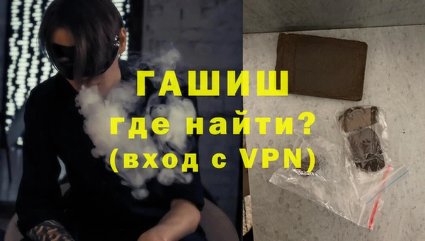 дмт Каменка