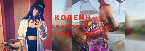 дмт Каменка