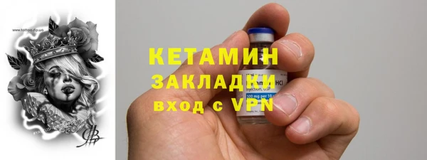 прущие грибы Каменск-Шахтинский