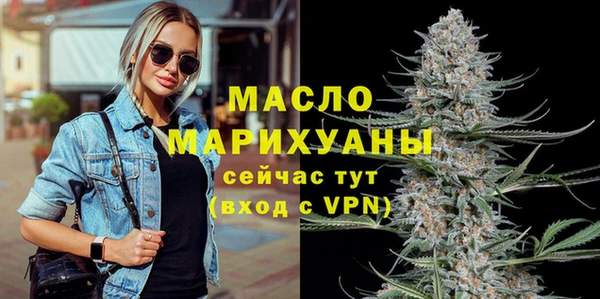 дмт Каменка