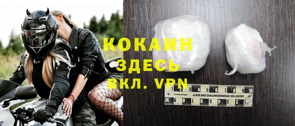прущие грибы Каменск-Шахтинский