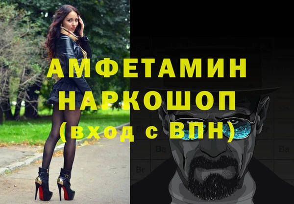 дмт Каменка