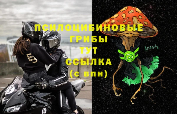 прущие грибы Каменск-Шахтинский