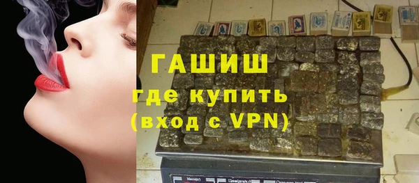дмт Каменка