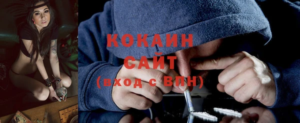 прущие грибы Каменск-Шахтинский
