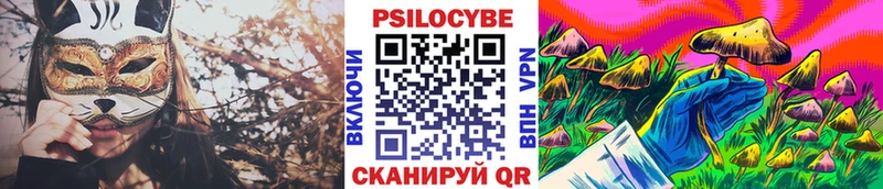 купить закладку  Кызыл  Галлюциногенные грибы Psilocybine cubensis 